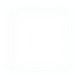 data-icon